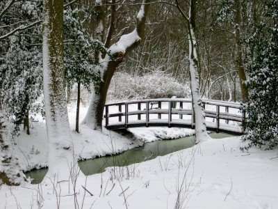 F  Meer en Bos- foto: Paul Westra